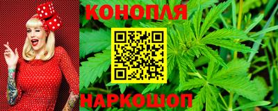 индика Кинель