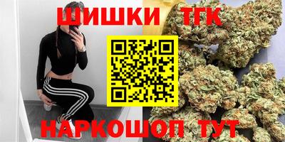 дживик Кингисепп