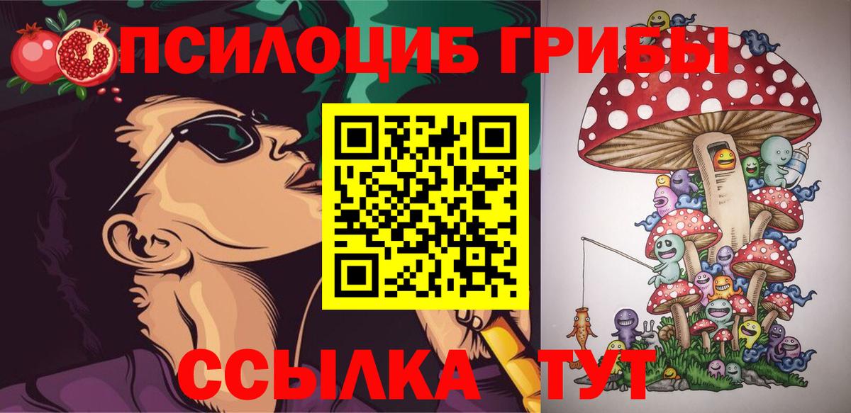 Щёлково  Галлюциногенные грибы Magic Shrooms  как найти   Вход с VPN 